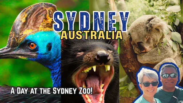 Sydney Zoo: A Day in the Life of Australia’s Wildest Animals